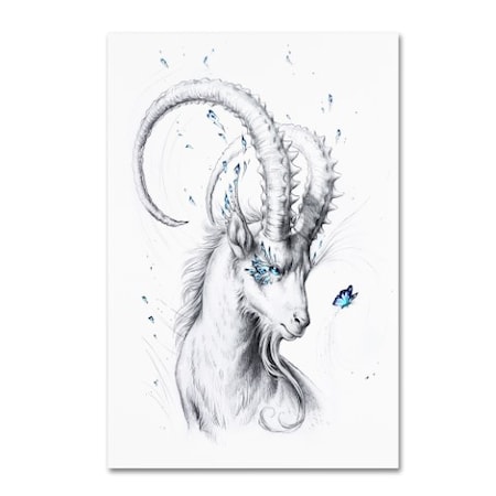 JoJoesArt 'Capricorn' Canvas Art,22x32